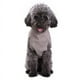 thumbnail image 3 of Sequin pet sweater Cat dog Clothes Winter Warm Puppy Knitwear Sweaters dog clothing Knitted Pet Coat for Small Medium Large Dogs ShopWise Round, 3 of 7