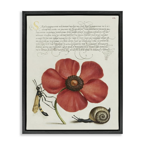 Stupell Industries Vintage Insects on Flower Text & Numbers Painting Black Floater Framed Canvas Art Print Wall Art, 17 x 21