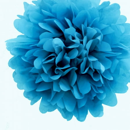 Quasimoon 20 Turquoise Tissue Paper Pom Poms Flowers Balls