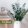 CACEucalyptus Garland for Shower, Real Eucalyptus Leaves for Shower