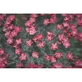 thumbnail image 3 of Stramel, Renee W. 24x17 Black Modern Framed Museum Art Print Titled - Natures Textures I, 3 of 5