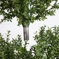 thumbnail image 4 of Nearly Natural Boxwood Topiary Potted Artificial Tree - 8', 4 of 6