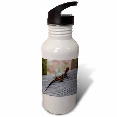 

Leapin Lizard 21 oz Sports Water Bottle wb-8665-1