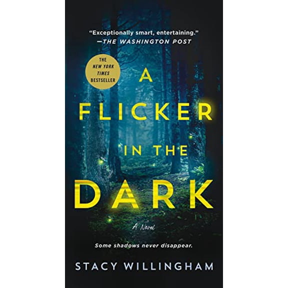 Pre-Owned A Flicker in the Dark: A Novel (Paperback)
