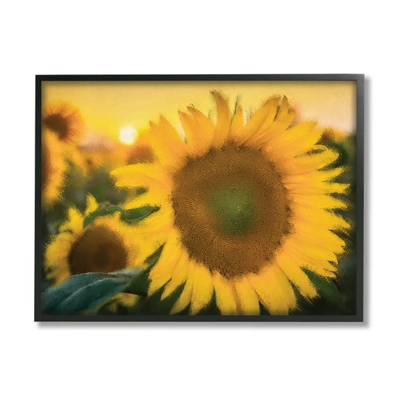 Stupell Industries Sunflower Field Sunrise Realistic Soft Edges Photography Black Framed Art Print Wall Art, 16x20, by Kim Allen