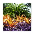 thumbnail image 1 of Gango Home Decor Contemporary Tropical Garden I by Alan Hausenflock (Printed on Paper); One 24x24in Fine Art Paper Giclee Print, 1 of 4
