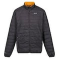 thumbnail image 1 of Regatta Mens Hillpack Quilted Insulated Jacket, 1 of 5