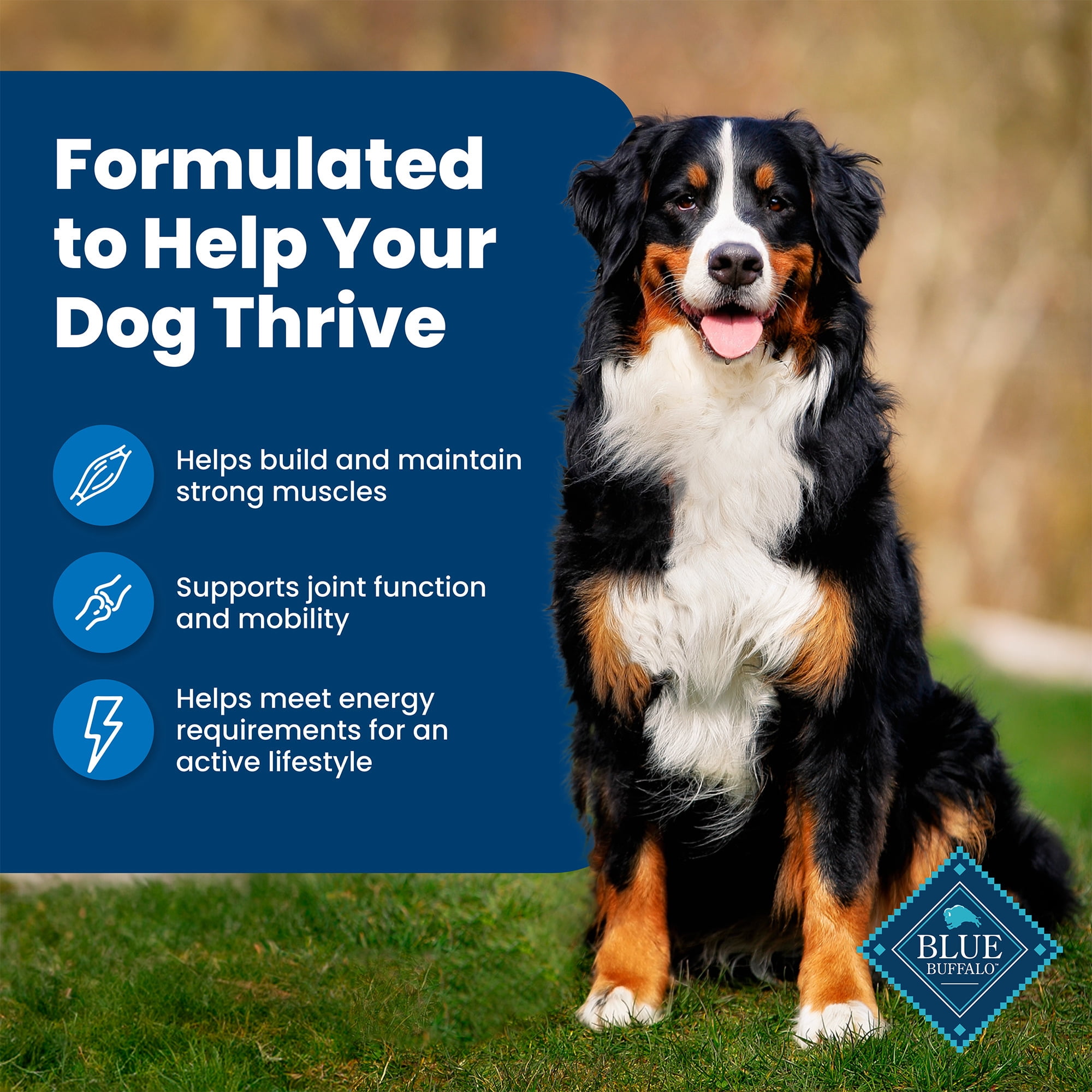 Blue Buffalo Life Protection Formula Adult Dry Dog Food, Chicken & Brown Rice, 34 lbs.