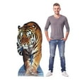thumbnail image 4 of Advanced Graphics 854 Number 1 Life-Size Cardboard Stand-Up, 4 of 5