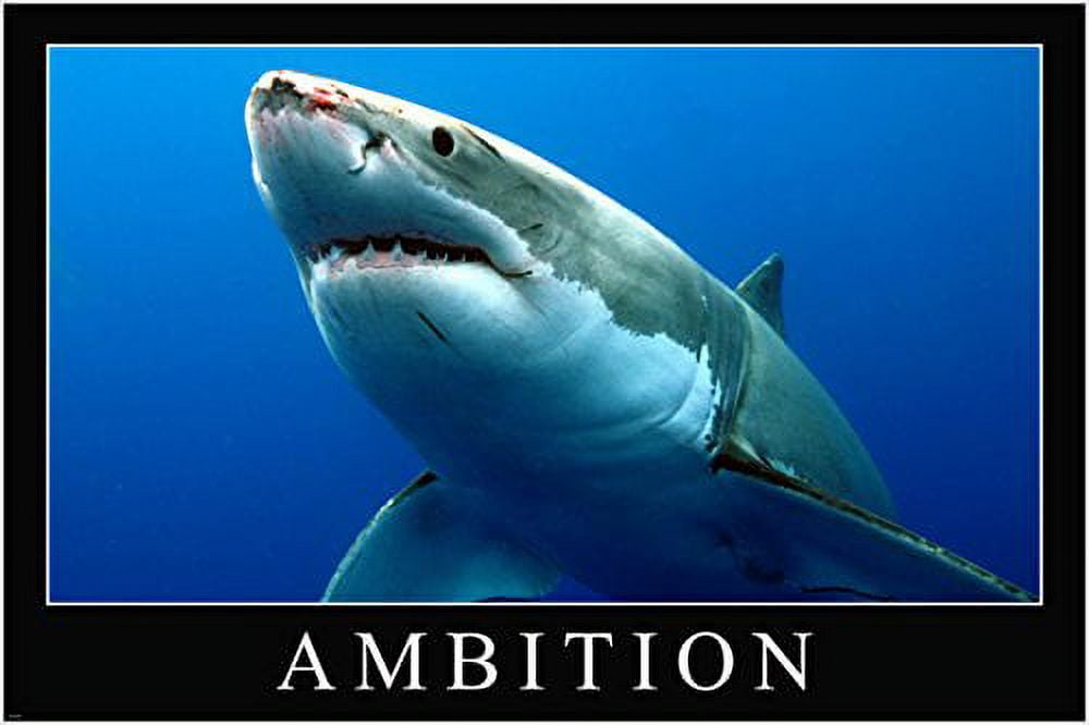 A Great White Shark with sunrays just below the surface