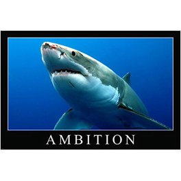 SHARK ポスター Amazon.co.jp: Onward 。By Jay Fleck Giraffe Riding a Shark