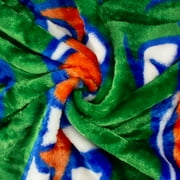 College Covers Everything Comfy Florida Gators Soft Raschel Throw Blanket, 60 x 50