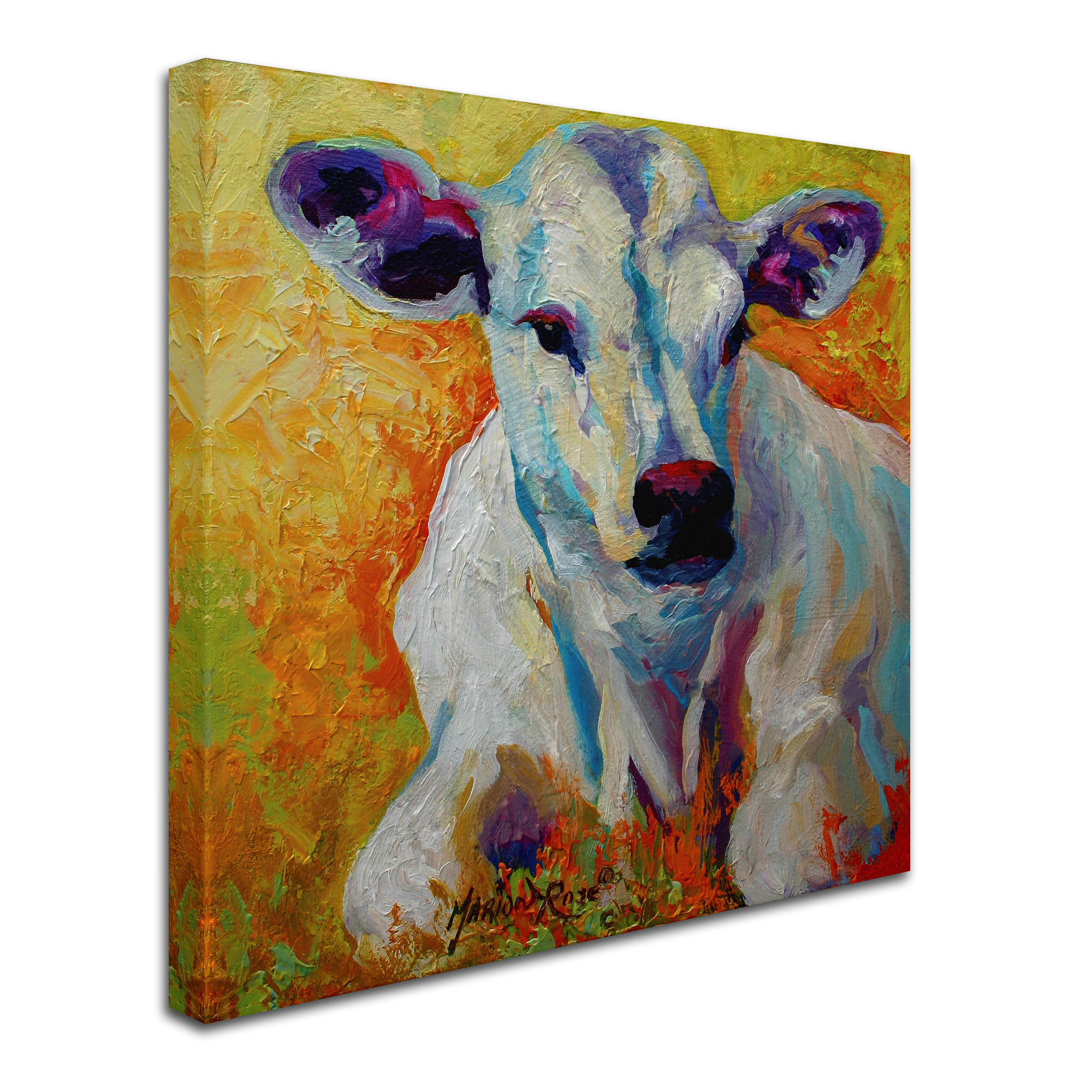 Trademark Fine Art 'White Calf' Canvas Art by Marion Rose