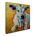 thumbnail image 2 of Trademark Fine Art 'White Calf' Canvas Art by Marion Rose, 2 of 3