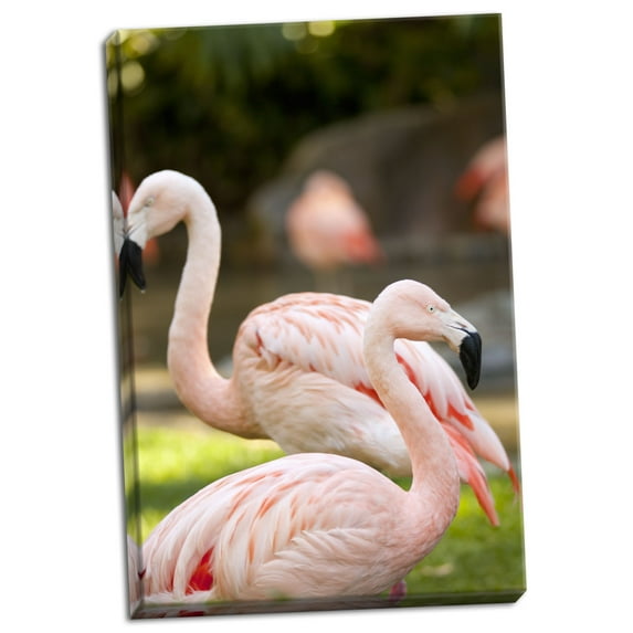 Gango Home Decor Flamingos II by Karyn Millet (Ready to Hang); One 24x36in Hand-Stretched Canvas