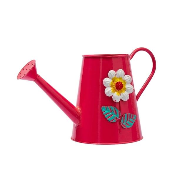 Toystoory Stainless Steel Large-Mouthed Metal And Iron Watering Watering Cans Garden Hassle-Free Indoor Nozzle Rust-Free Jardín y Patio rosario 2L