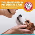 thumbnail image 2 of Arm & Hammer Advanced Care Fresh Breath Dog Toothpaste & Toothbrush Kit Vanilla Ginger Flavor, 2 of 7
