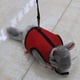 thumbnail image 4 of Campana de arnés para mascotas pequeñas, chaleco acolchado cómodo sin tirones, nailon duradero, juego de correa de arnés para cobayas durante todo el año para conejitos pequeños, hurones, ratas,, 4 of 8