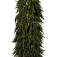 thumbnail image 2 of Vickerman 42-46" Basil Cierus Stem. Includes 3 Stems per Pack, Dried, 2 of 5