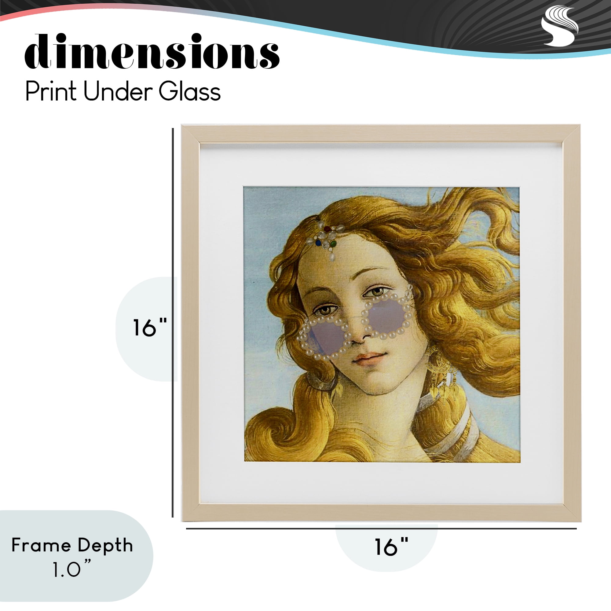 Stupell Industries Modern Day Venus Shades Birch Framed Print Under Glass, design by Grotto Studios