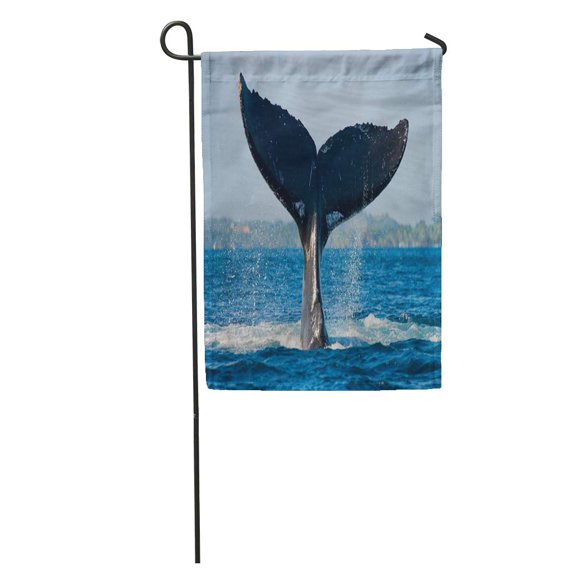 POGLIP Whales Humpback Whale Tail Madagascar Splashes of Water Area Garden Flag Decorative Flag House Banner 28x40 inch