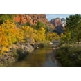 thumbnail image 2 of Rotenberg, Nancy 32x23 White Modern Wood Framed Museum Art Print Titled - UT, Zion NP Zion Canyon and Virgin River, 2 of 4