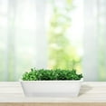 thumbnail image 4 of SEWCHICS Windowsill flower pots Multi PP in Sleek Profile 1Pack for Indoor Windowsill, 4 of 8