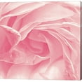 thumbnail image 1 of Georgia Pink by Keri Bevan, Canvas Wall Art, 1 of 1