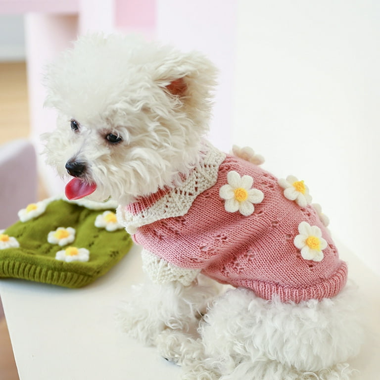 Cdg dog hoodie online