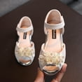 thumbnail image 2 of HUANBAI Girls Rhinestone Flower Shoes Low Heel Princess Shoes Flower Wedding Party Dress Pump Shoes For Kids Toddler 8, 2 of 5