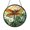 Acrylic 3.5 Inch, variant on Amber Winged Dragonfly And White Daisy Suncatcher Round Ornament Art