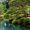 Zen Lakeside Bonsai Trees, variant on Elephant Stock Sunrise In Jordan Pond In Acadia Wall Art - Horizontal Multi Panel Canvas - Living Room Wall Decor - Nature Multi Panel - Blue And Orange Decor By Scott Stulberg - 23" x 14"