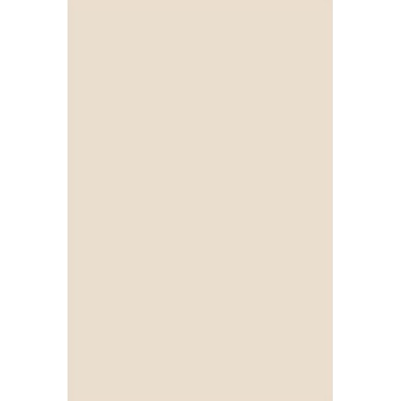 Beige Journal (Hardcover)
