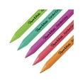 Paper Mate Handwriting Triangular Mechanical Pencil Set with Lead