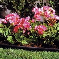 thumbnail image 3 of Suncast 60' Coil Resin Professional Landscape Edging Roll for Lawn and Garden, Black (8 Pack), 3 of 5