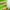 Clear Green, variant on GoXteam 8 Pcs Refrigerator Liners, Refrigerator Mats Washable and cuttable for Refrigerator Glass Shelves, Cabinets and Drawer Cover mats Kitchen Gadgets Accessories Organization, Translucent Pink
