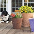 thumbnail image 6 of Novelty 12" Round Napa Planter, 6 of 7