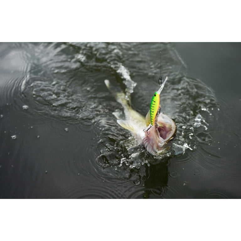 firetail fishing lures Havoc Series Deep: HD-30 range crankbait for those times when the bass are keyed Berkley Jointed Flicker Shad 7