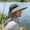 Army Green, variant on Outdoor Wide Brim Sun Hat,Windproof Fisherman Hat, Breathable Foldable Leisure Sunscreen Hat,Double Layer Face Shield,for Summer Travel Beach Cycling Hiking