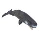 thumbnail image 1 of Juguetes del mundo de los animales marinos, réplicas realistas de cachalotes, figuras de acción oceánicas, animales marinos simulados, resultados impresionantes, 1 of 14
