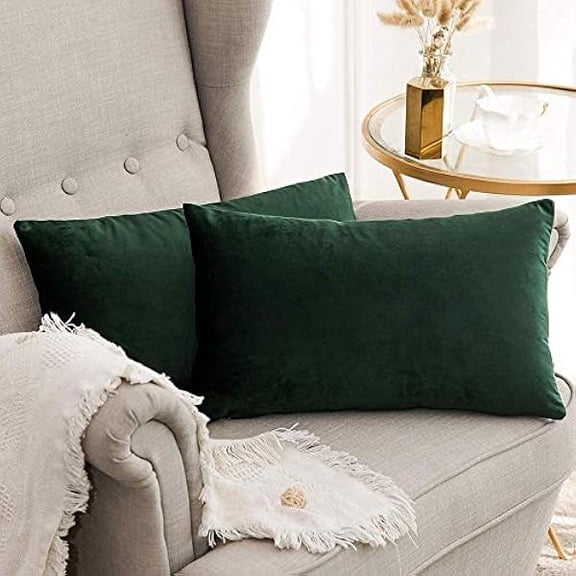 Eryueer Velvet Soft Decorative Square Throw Pillow Case Cushion Covers Pillowcases for Livingroom Sofa Bedroom with Invisible Zipper 16"x24" 40x60 cm 2 Pieces Dark Green