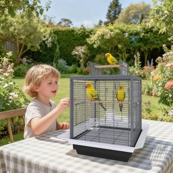 TEQIN Small Bird Travel Cage,Lightweight Small Birds Starter Kit With Birdcages And Accessories 24" Bird Travel Carrier For Parakeets Lovebirds Parrotlets Finches Canaries With Removable Plastic Tray