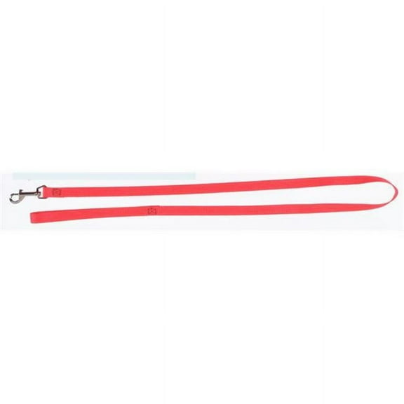 Boss Pet 171395718 2957201 1 x 72 in. Nylon Lead, Red