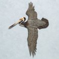thumbnail image 2 of Soaring Pelican Wall Art Sculpture Charcoal, 2 of 5