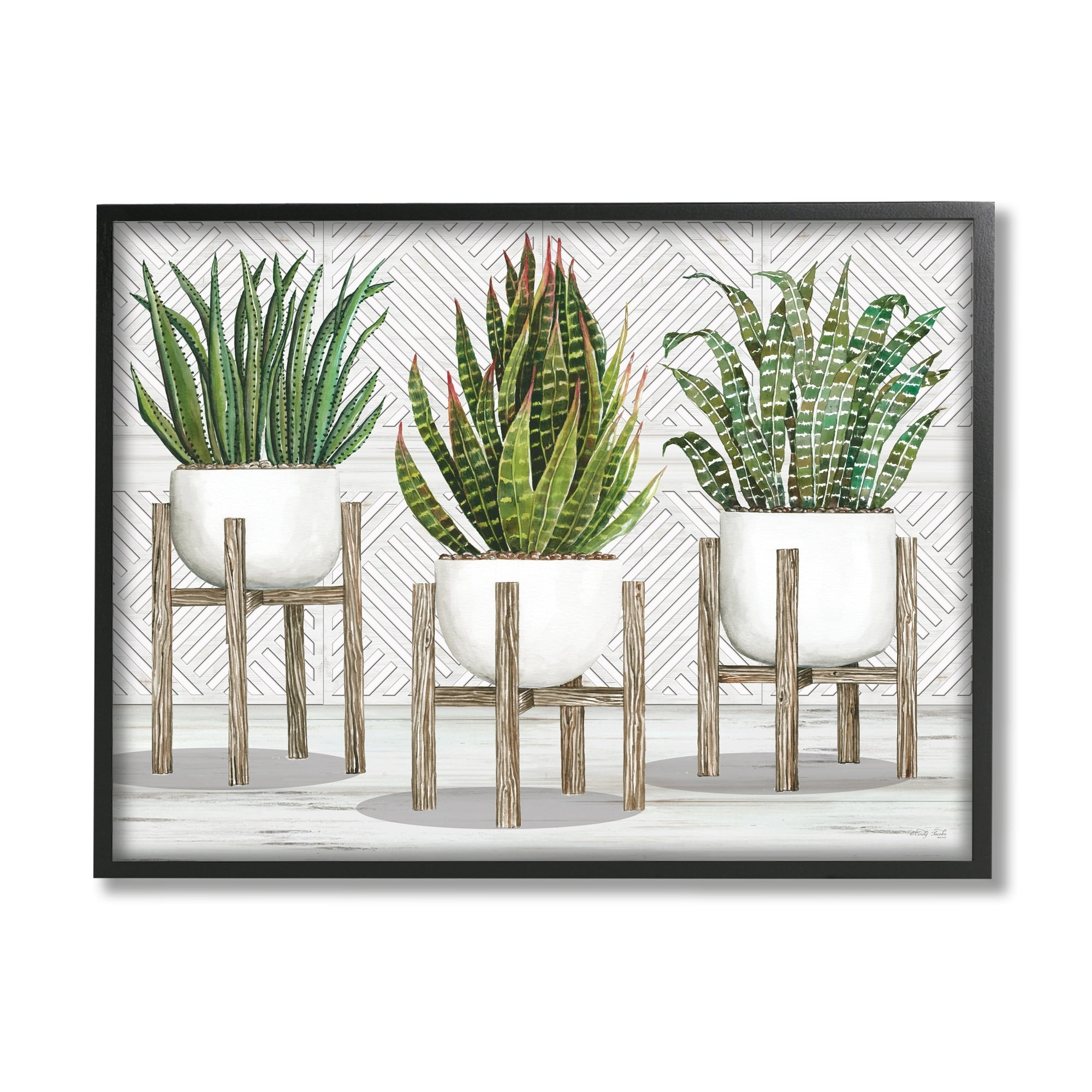 Stupell Industries Modern Aloe Plant Trio Living Room Still Life, 20 x 16,Design by Cindy Jacobs