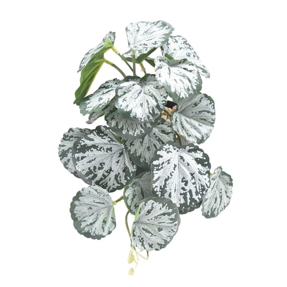 Naiovety Decoraciones realistas para terrarios - Apariencia realista Bajo mantenimiento Artificial no tóxico Decoración Begonia Blanca