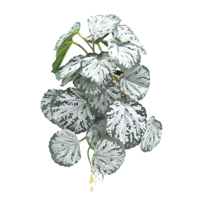 Naiovety Decoraciones realistas para terrarios - Apariencia realista Bajo mantenimiento Artificial no tóxico Decoración Begonia Blanca