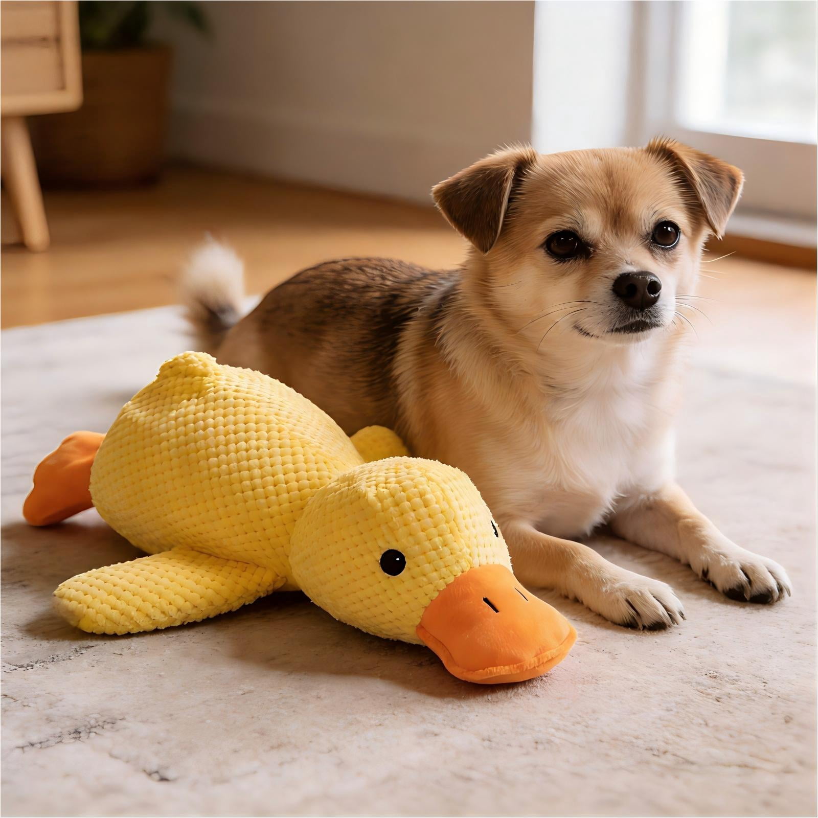 JOLLITO Duck Dog Toy with Honker
