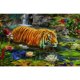 thumbnail image 1 of Bordado de hilo Tigre punto de cruz completo 11CT algodón DIY impreso Kits arte artesanal Hugtrwg Para estrenar, 1 of 9