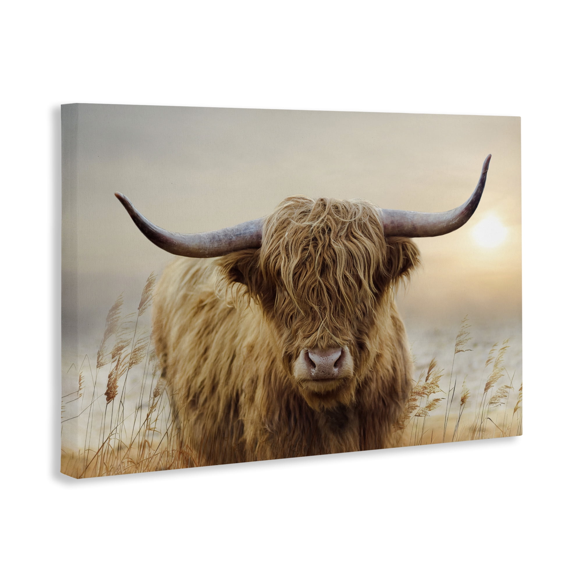 Stupell Industries Highland Cow & Warm Sunset Canvas Wall Art, design by CAD Designs